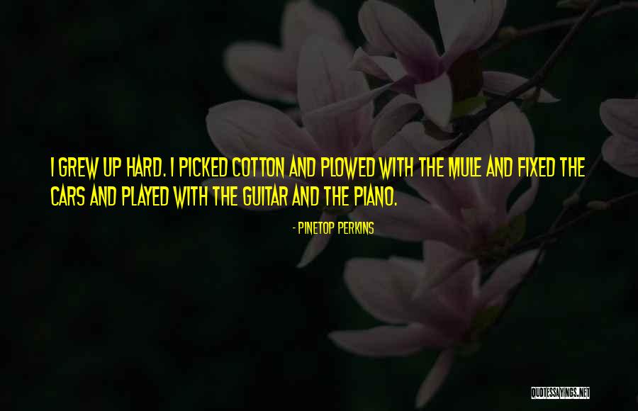 Pinetop Quotes By Pinetop Perkins Pinetop Quotes By Pinetop Perkins
