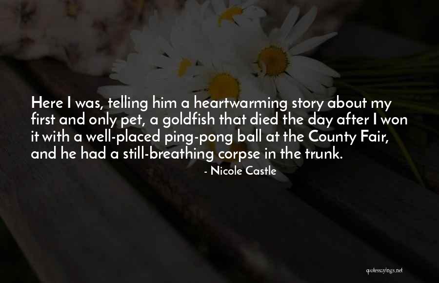 Ping Pong Ball Quotes By Nicole Castle Ping Pong Ball Quotes By Nicole Castle