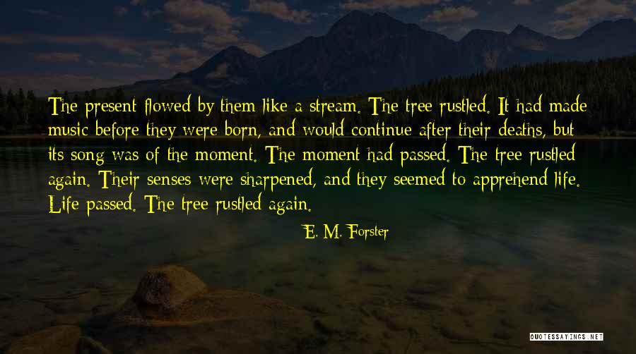 Pingvinas Vikipedija Quotes By E. M. Forster Pingvinas Vikipedija Quotes By E. M. Forster