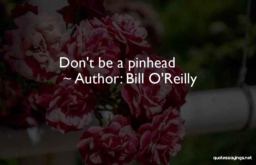Pinhead Quotes By Bill O'Reilly