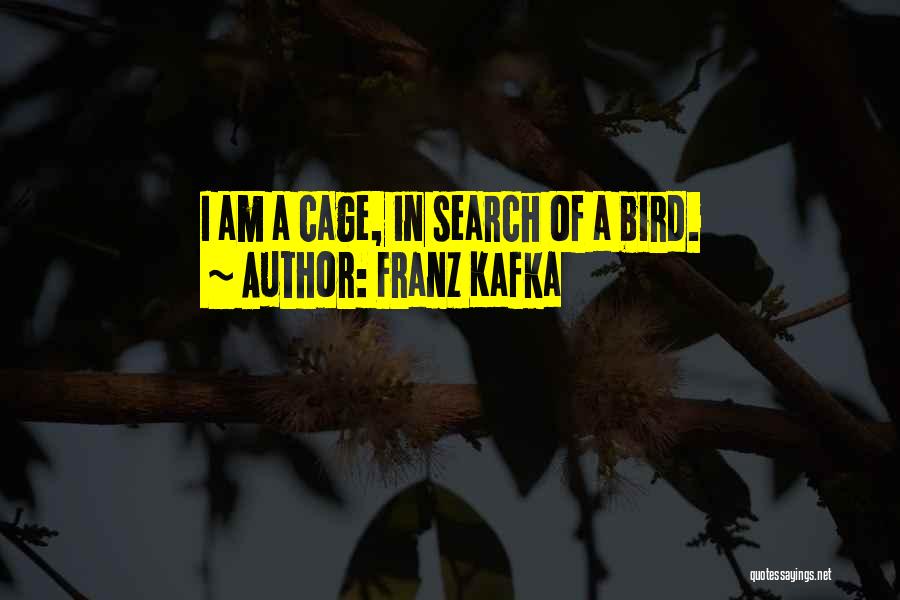 Pinhole Photography Quotes By Franz Kafka