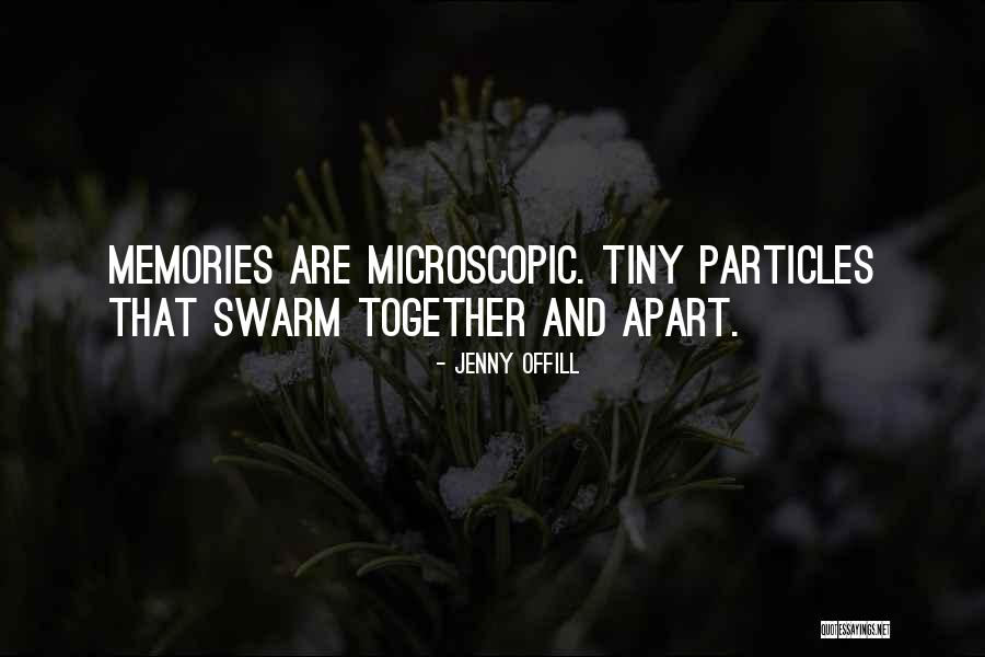 Pinholes In Aluminum Quotes By Jenny Offill Pinholes In Aluminum Quotes By Jenny Offill