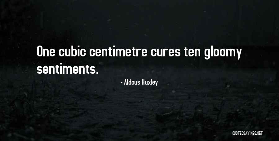 Pinholes In Grout Quotes By Aldous Huxley Pinholes In Grout Quotes By Aldous Huxley