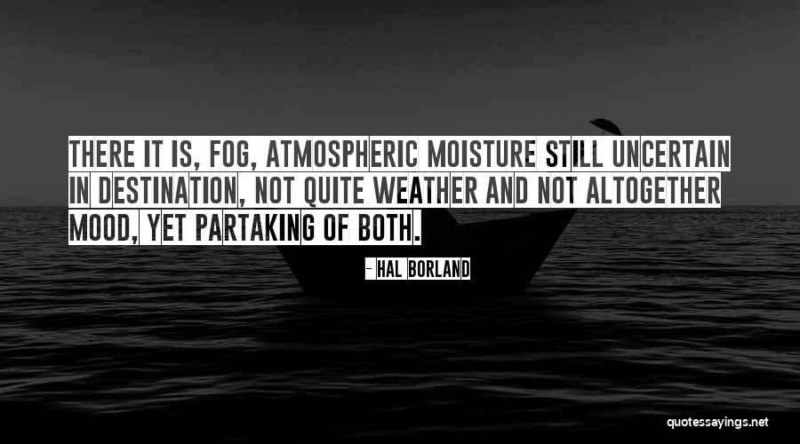 Pinholes In Grout Quotes By Hal Borland Pinholes In Grout Quotes By Hal Borland