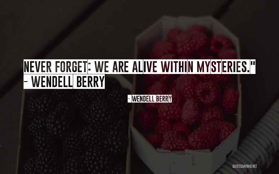 Pinholes In Grout Quotes By Wendell Berry Pinholes In Grout Quotes By Wendell Berry