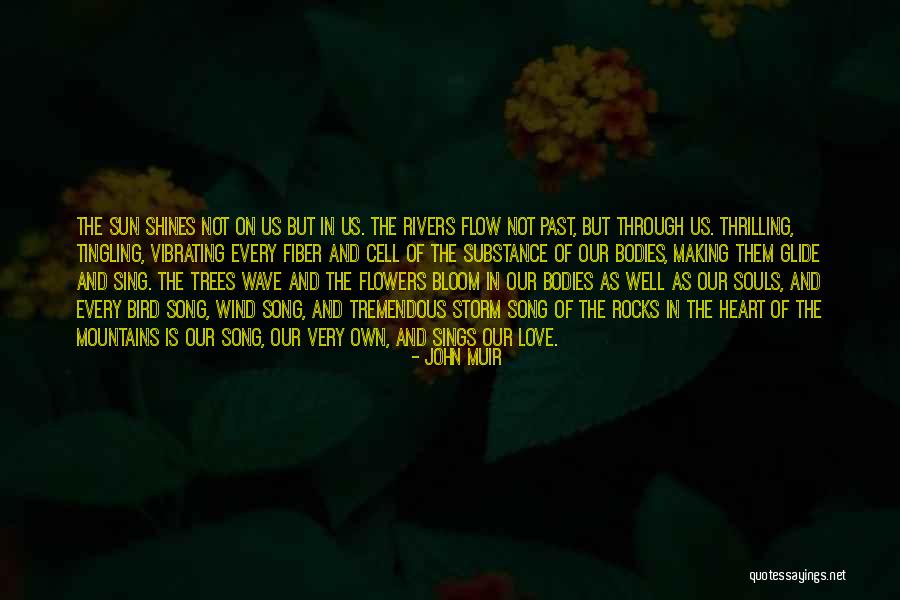 Pinipilit Quotes By John Muir Pinipilit Quotes By John Muir