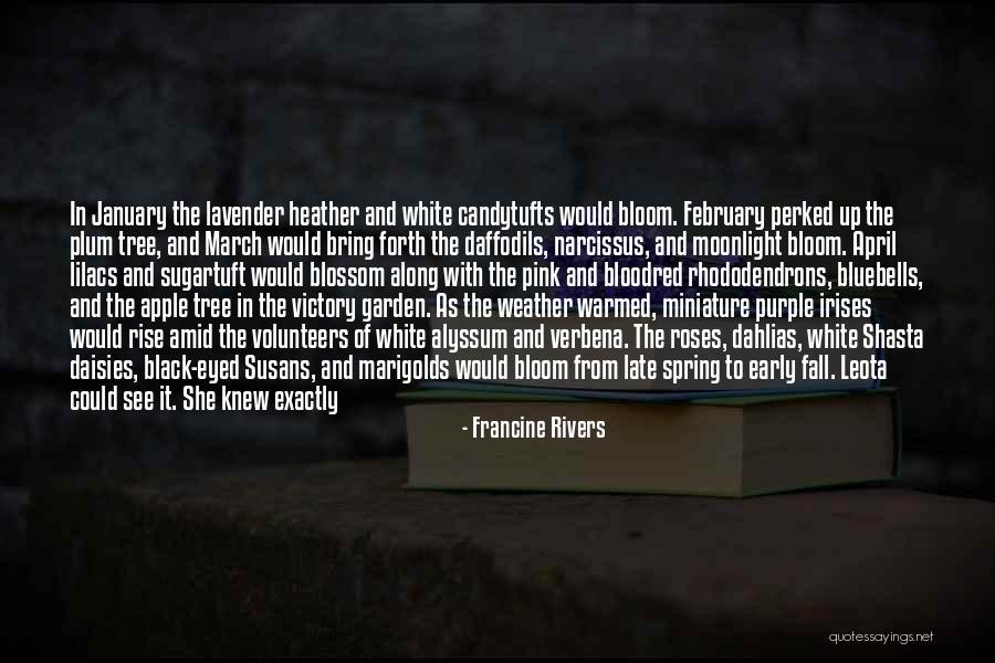 Pink And Black Quotes By Francine Rivers Pink And Black Quotes By Francine Rivers