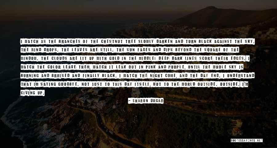 Pink And Black Quotes By Sharon Dogar Pink And Black Quotes By Sharon Dogar