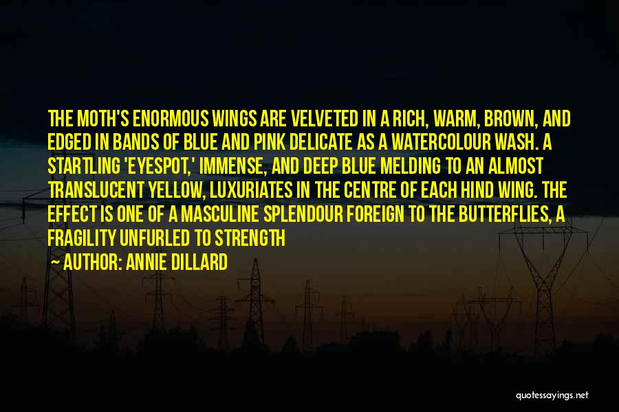 Pink And Blue Quotes By Annie Dillard