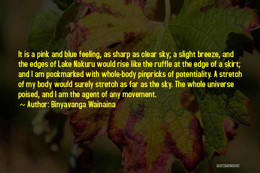 Pink And Blue Quotes By Binyavanga Wainaina