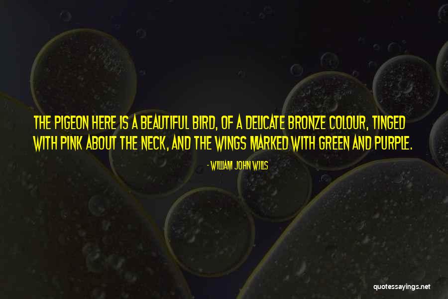Pink And Green Quotes By William John Wills Pink And Green Quotes By William John Wills