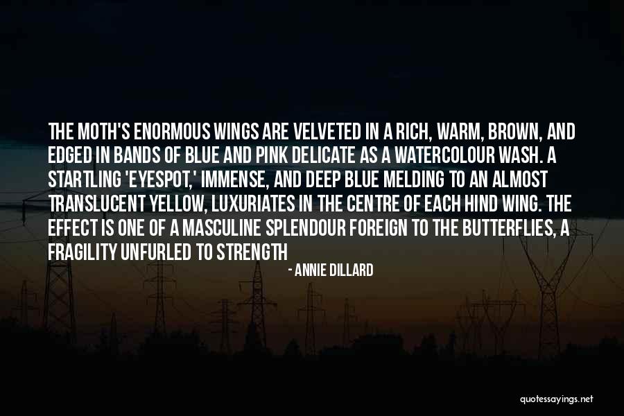 Pink And Yellow Quotes By Annie Dillard Pink And Yellow Quotes By Annie Dillard