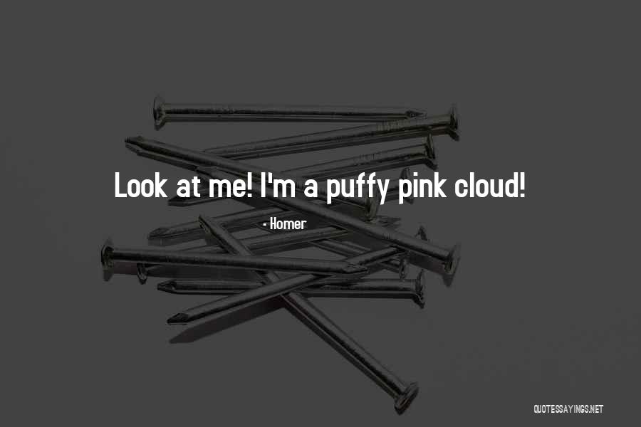 Pink Clouds Quotes By Homer