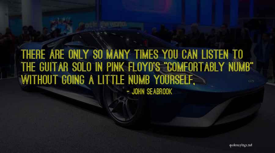 Pink Floyd Comfortably Numb Quotes By John Seabrook Pink Floyd Comfortably Numb Quotes By John Seabrook