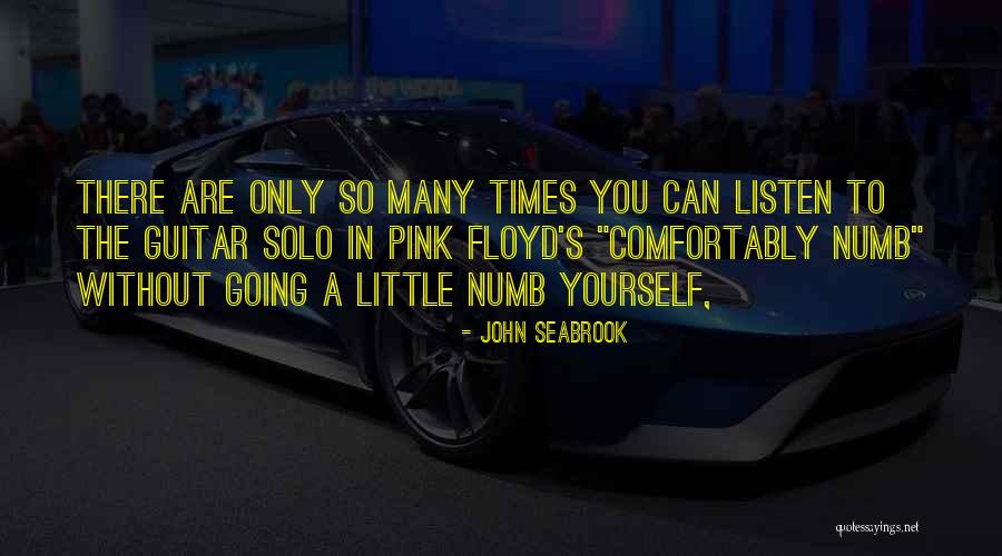 Pink Floyd Comfortably Numb Quotes By John Seabrook