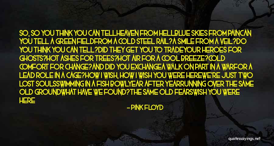 Pink Floyd Quotes 1400584