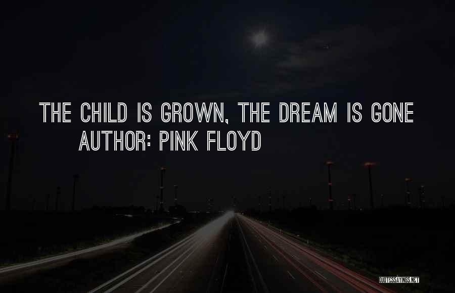 Pink Floyd Quotes 1504737