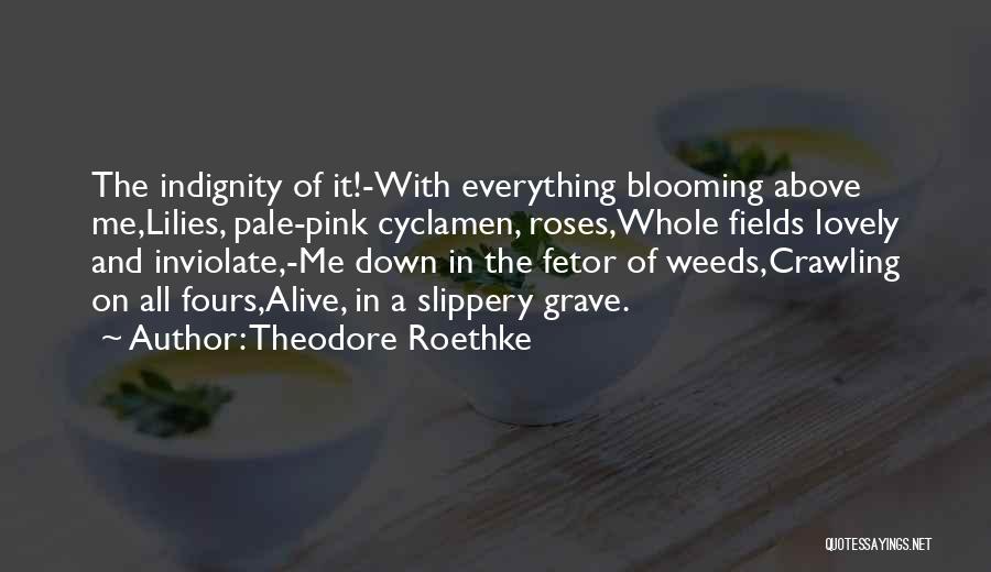 Pink Lilies Quotes By Theodore Roethke
