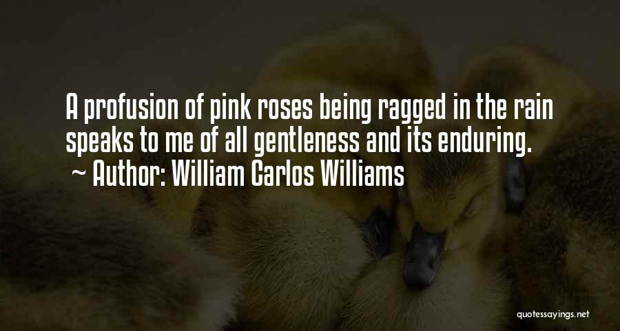 Pink Rose Flower Quotes By William Carlos Williams