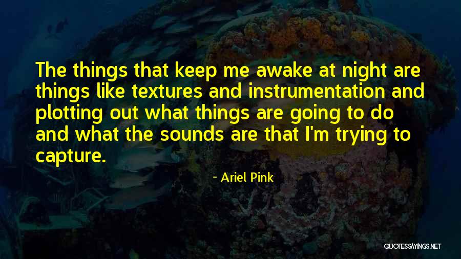 Pink Things Quotes By Ariel Pink Pink Things Quotes By Ariel Pink