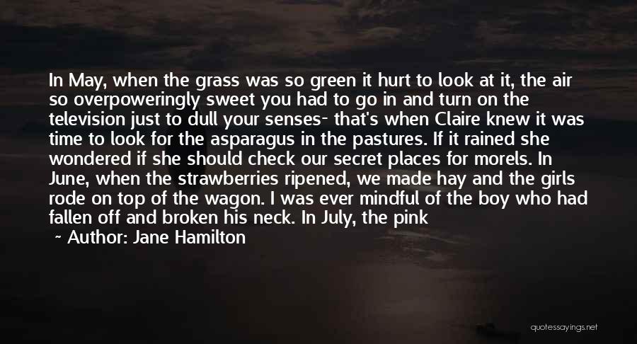 Pink Who Knew Quotes By Jane Hamilton