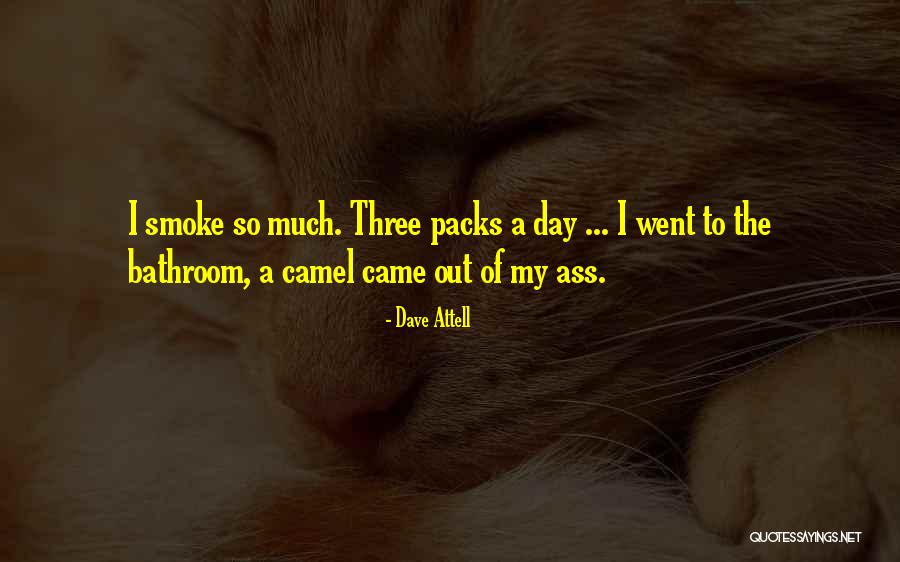 Pinkpankpunk Quotes By Dave Attell Pinkpankpunk Quotes By Dave Attell