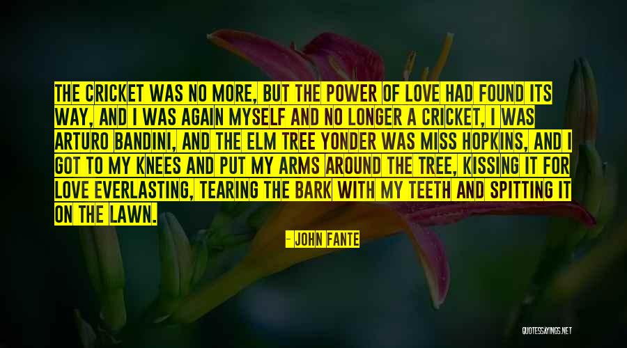 Pinkwashing Memes Quotes By John Fante Pinkwashing Memes Quotes By John Fante