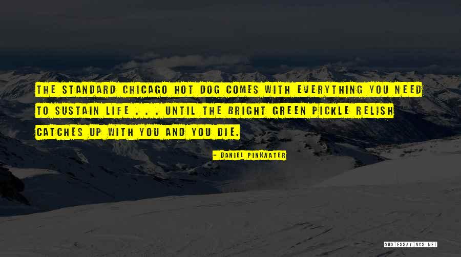 Pinkwater Daniel Quotes By Daniel Pinkwater Pinkwater Daniel Quotes By Daniel Pinkwater