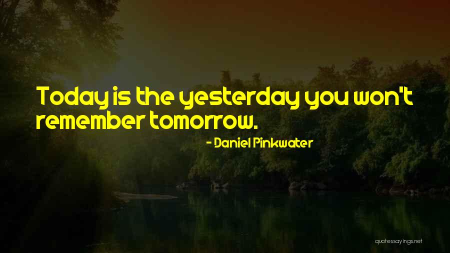 Pinkwater Daniel Quotes By Daniel Pinkwater Pinkwater Daniel Quotes By Daniel Pinkwater