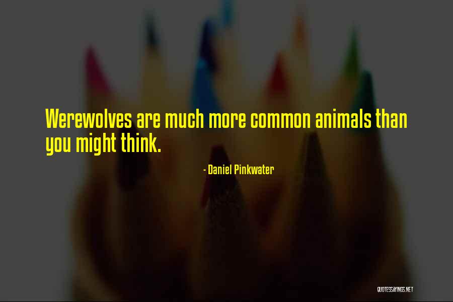 Pinkwater Quotes By Daniel Pinkwater Pinkwater Quotes By Daniel Pinkwater