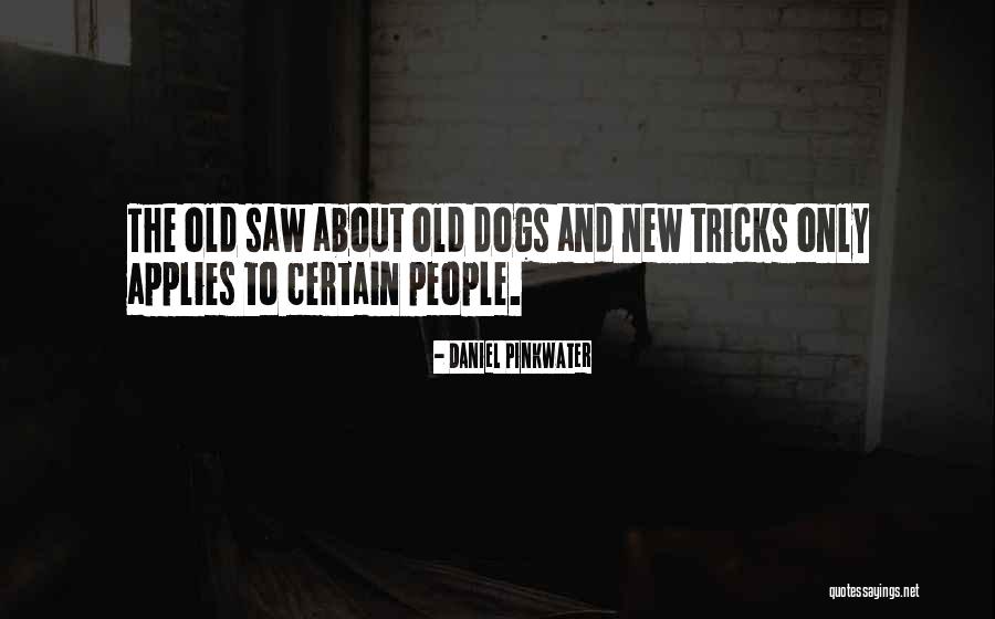 Pinkwater Quotes By Daniel Pinkwater Pinkwater Quotes By Daniel Pinkwater