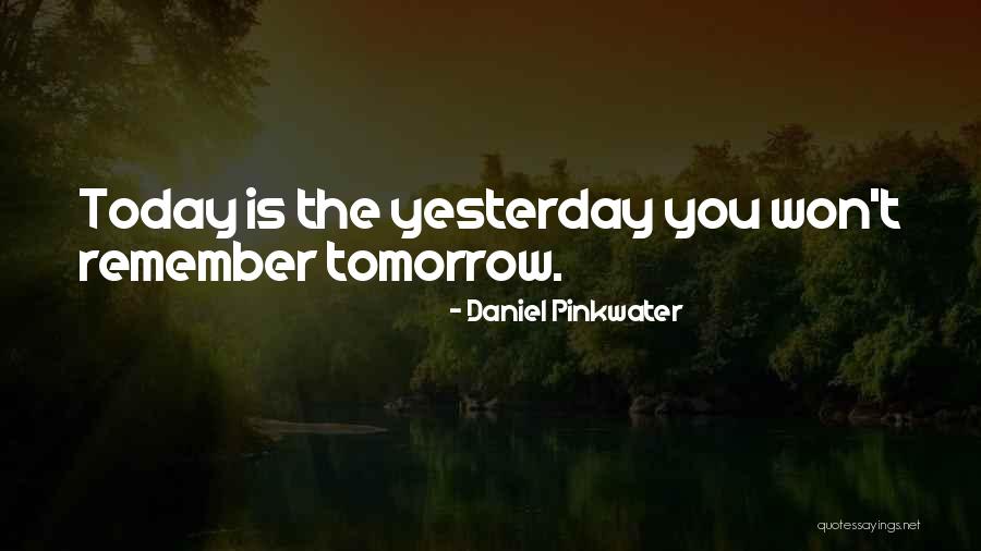 Pinkwater Quotes By Daniel Pinkwater Pinkwater Quotes By Daniel Pinkwater