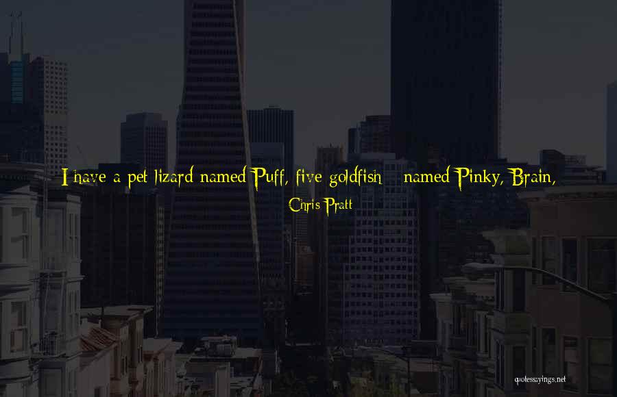 Pinky And The Brain Quotes By Chris Pratt Pinky And The Brain Quotes By Chris Pratt