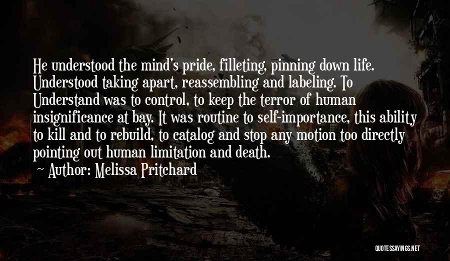 Pinning Quotes By Melissa Pritchard