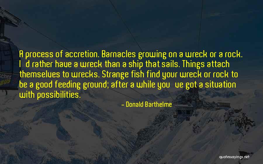 Pinny Food Quotes By Donald Barthelme Pinny Food Quotes By Donald Barthelme