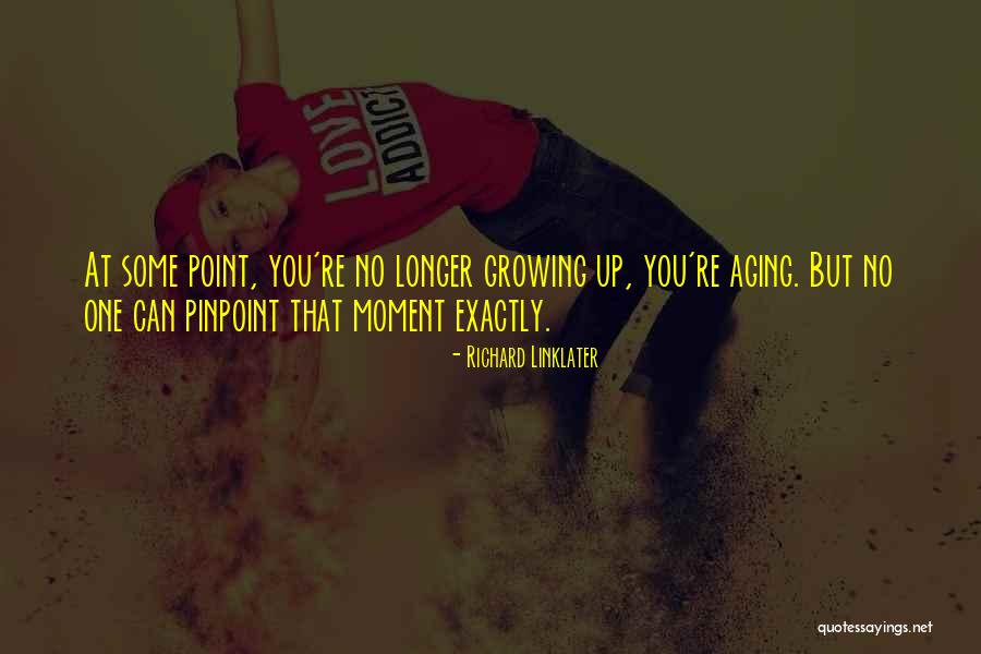 Pinpoint Quotes By Richard Linklater Pinpoint Quotes By Richard Linklater