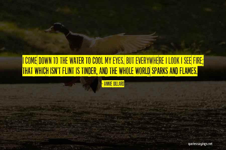 Pinpoint Weather Quotes By Annie Dillard Pinpoint Weather Quotes By Annie Dillard