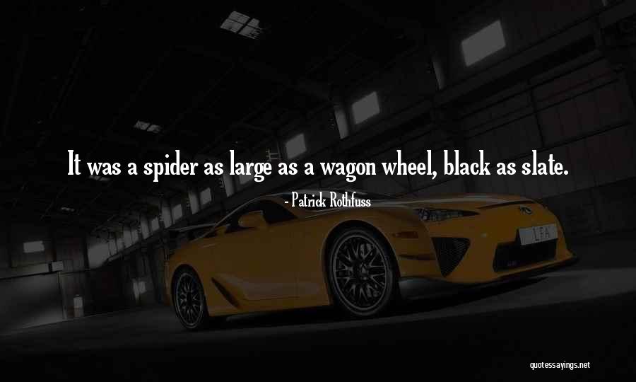 Pinscher Mix Quotes By Patrick Rothfuss Pinscher Mix Quotes By Patrick Rothfuss