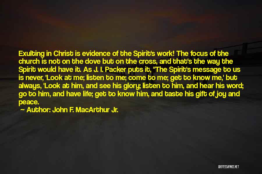 Pinstriping Quotes By John F. MacArthur Jr.