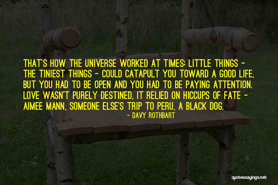 Pintadinha Quotes By Davy Rothbart