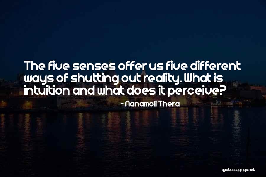 Pintamos Casas Quotes By Nanamoli Thera Pintamos Casas Quotes By Nanamoli Thera