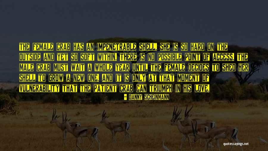 Pintaran Significado Quotes By Danny Scheinmann Pintaran Significado Quotes By Danny Scheinmann