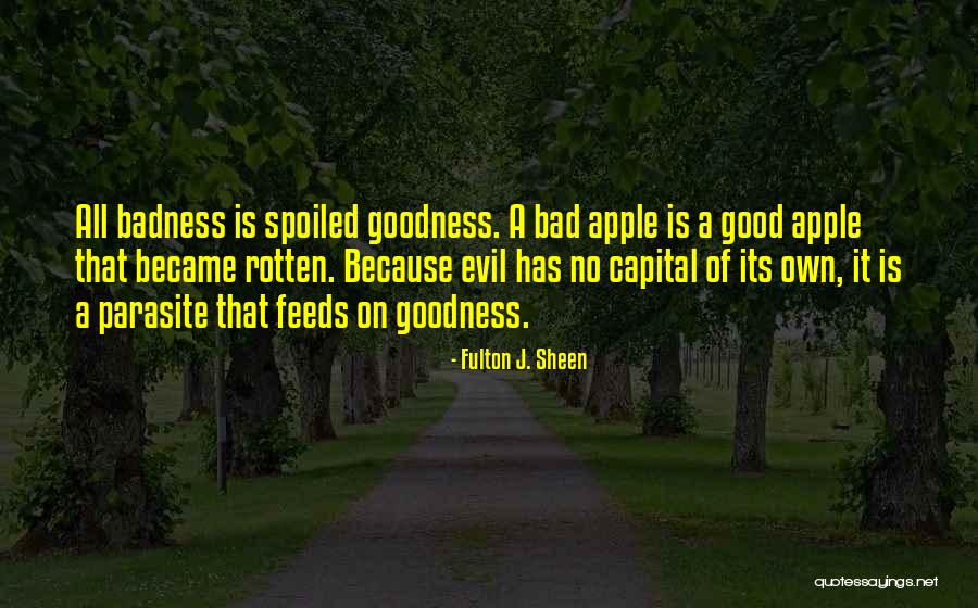 Pintauro Napoli Quotes By Fulton J. Sheen Pintauro Napoli Quotes By Fulton J. Sheen