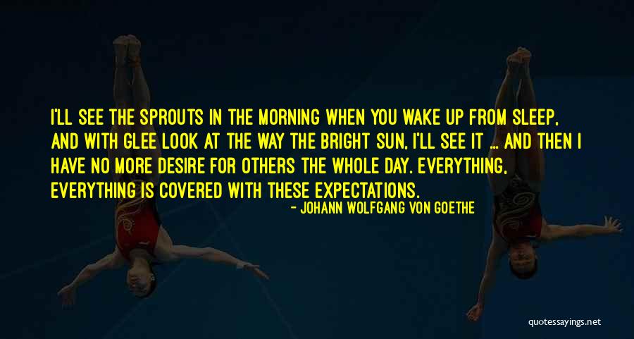 Pintea Adrian Quotes By Johann Wolfgang Von Goethe Pintea Adrian Quotes By Johann Wolfgang Von Goethe
