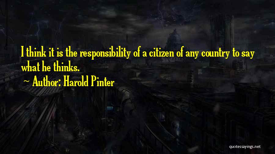 Pinter Harold Quotes By Harold Pinter