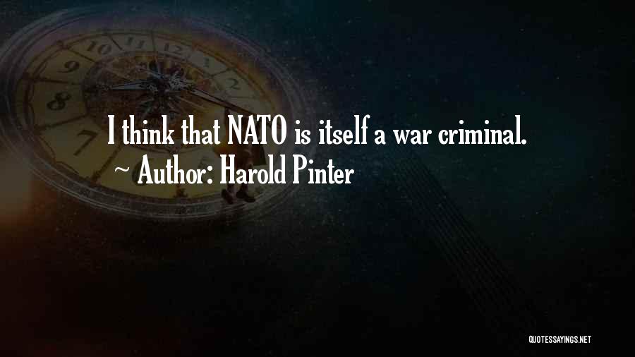 Pinter Harold Quotes By Harold Pinter