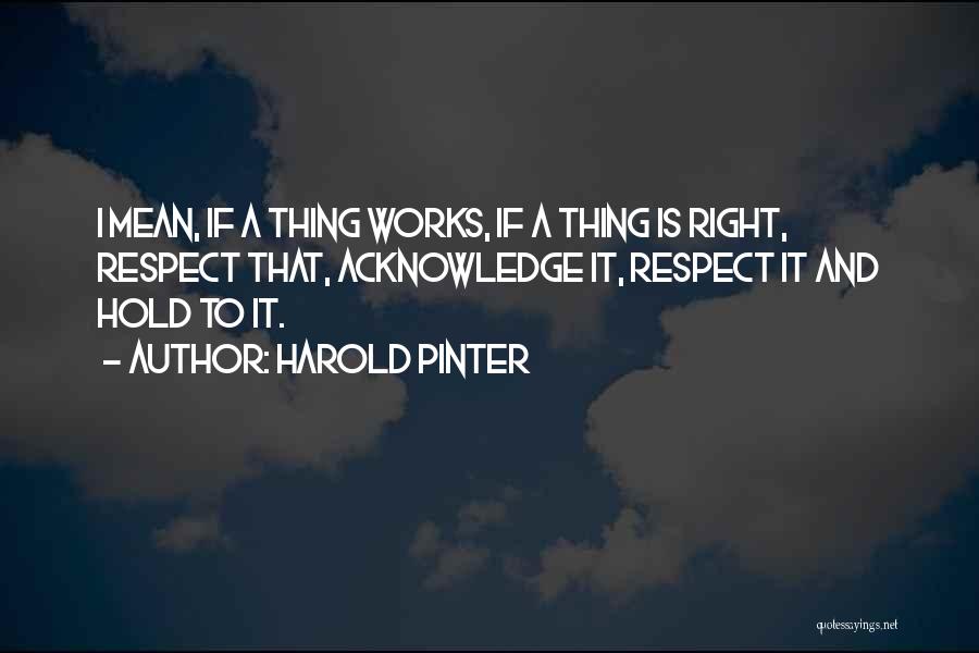 Pinter Harold Quotes By Harold Pinter