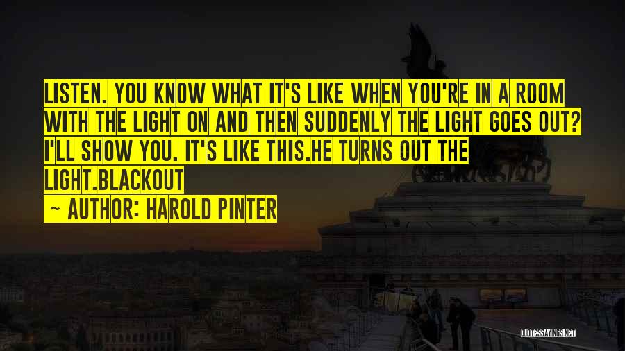 Pinter Harold Quotes By Harold Pinter