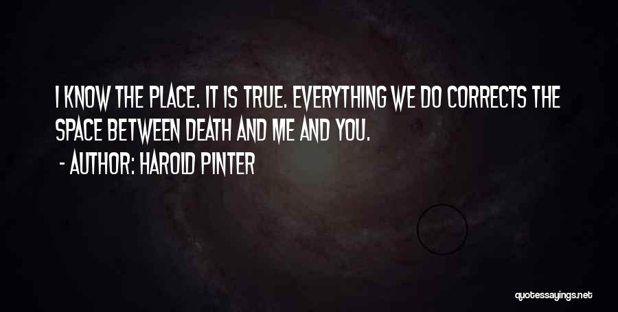 Pinter Harold Quotes By Harold Pinter