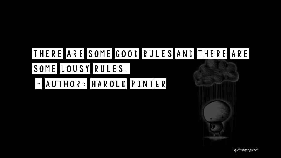 Pinter Harold Quotes By Harold Pinter